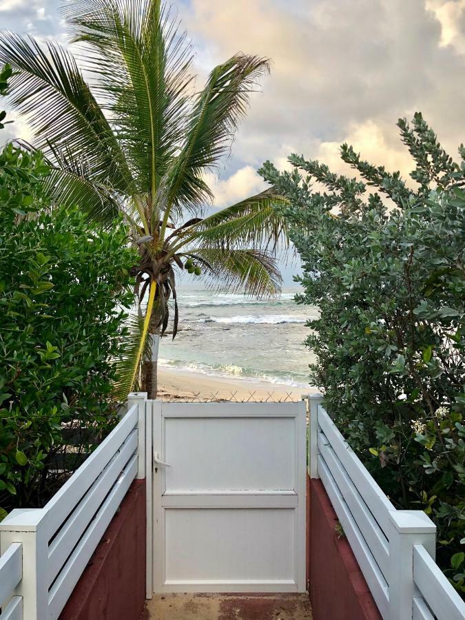Appartement Au Bord De L'Eau Le Moule Ngoại thất bức ảnh